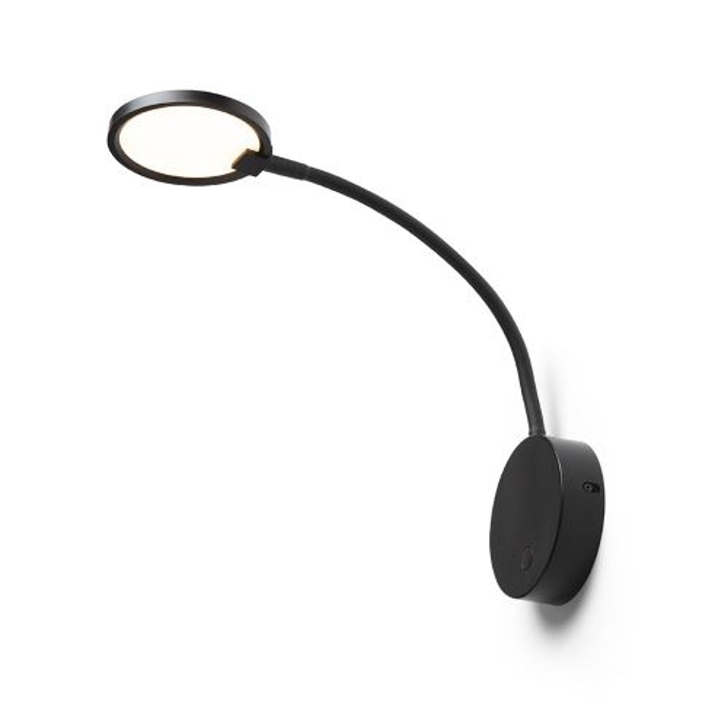 Gooseneck lamps