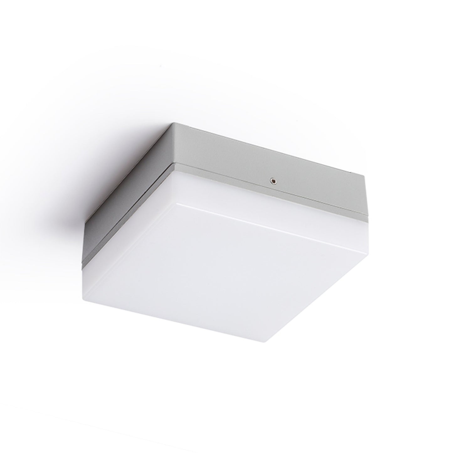 RENDL outdoor lamp SPECTACLE surface mounted silver grey  230V LED 5W IP54  3000K R11968 6