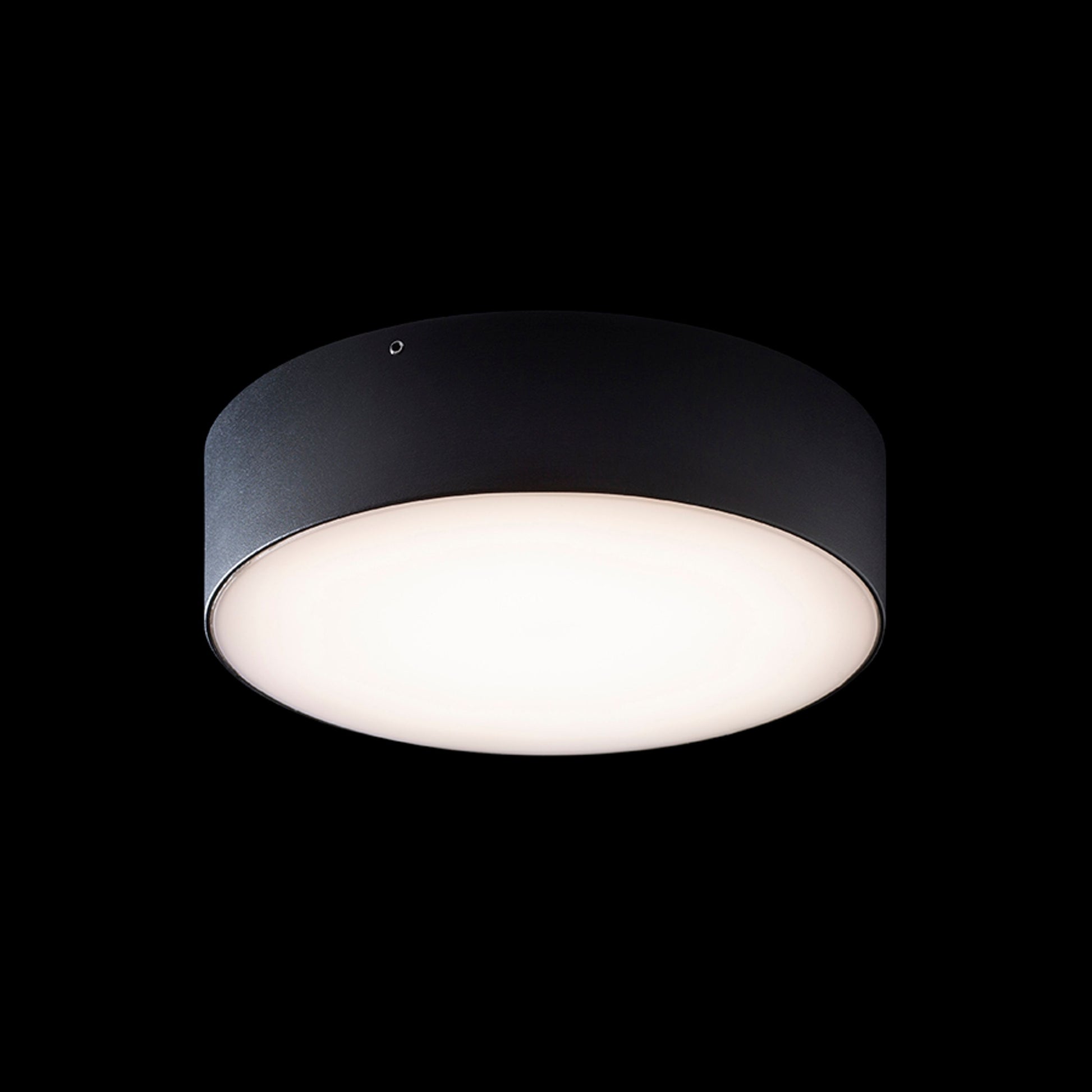 RENDL outdoor lamp LARISA OUT 22 surface mounted black  230V LED 20W IP65  3000K 4000K 5700K R14126 5