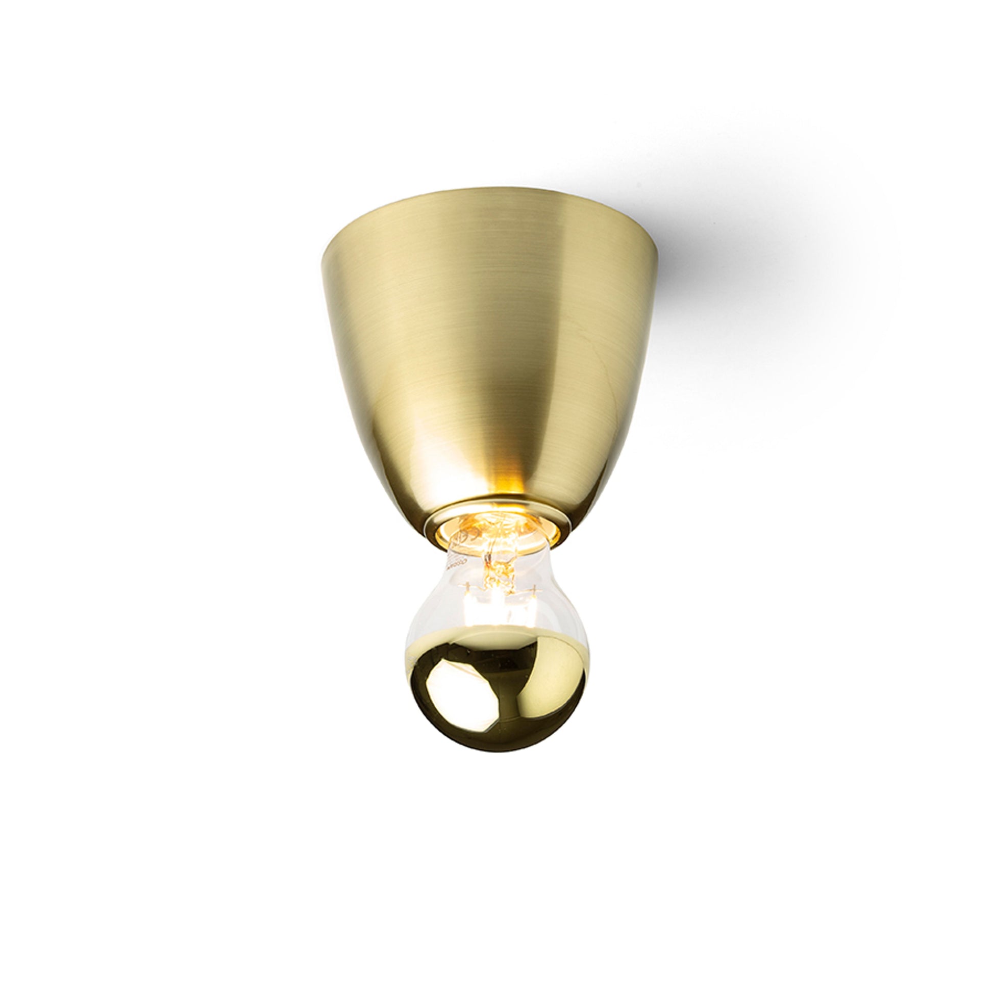 RENDL surface mounted lamp REACH ceiling brushed brass 230V LED E27 11W R14385 1